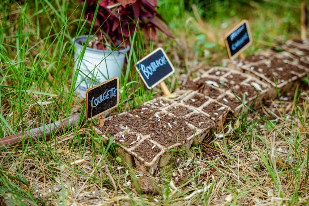 camping ecoresponsable valras