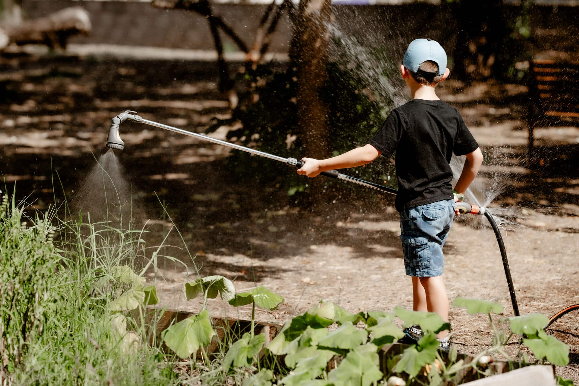 ateliers et activités potager